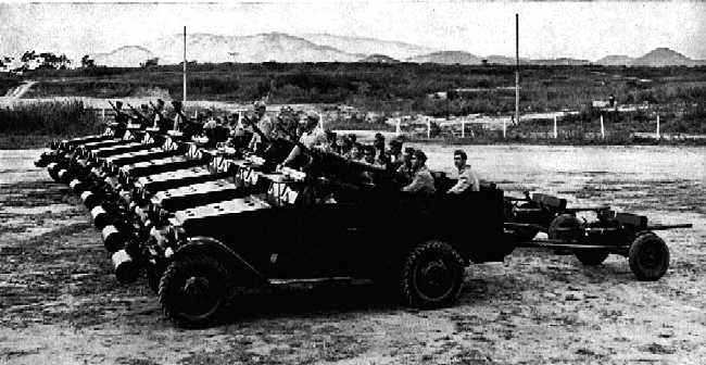bra-white1943.jpg